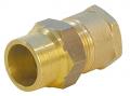 Gas compression Straight Female 1/2Fx22